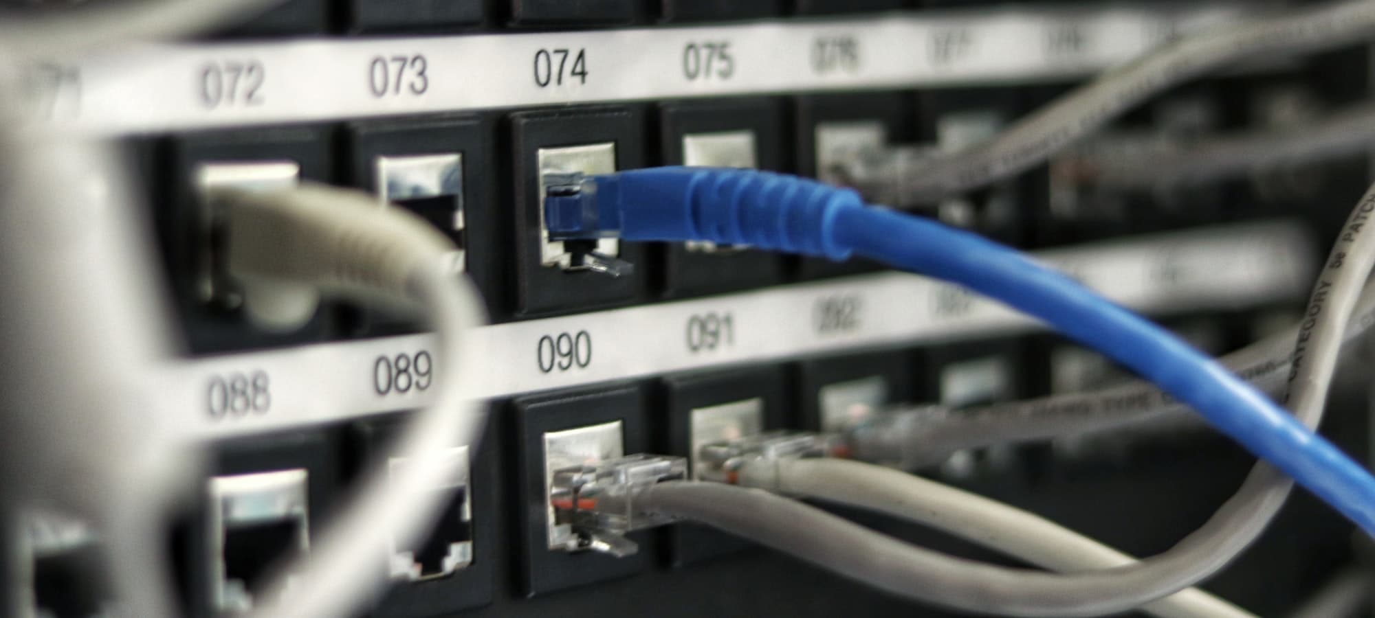 A numbered patch panel with network cables plugged into its ports.